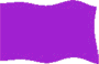 purple beach flag