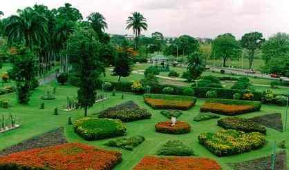 President's Garden