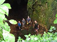 bats from tamana hill cave